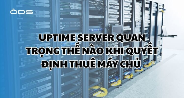 Uptime server quan trọng thế nào khi quyết định thuê máy chủ