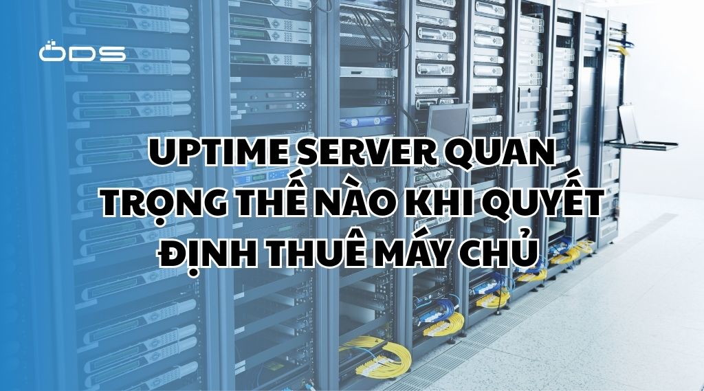 Uptime server quan trọng thế nào khi quyết định thuê máy chủ